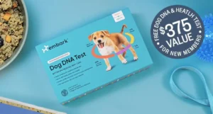 60% Off First Ollie Dog Food Box + FREE Embark Dog DNA Test!